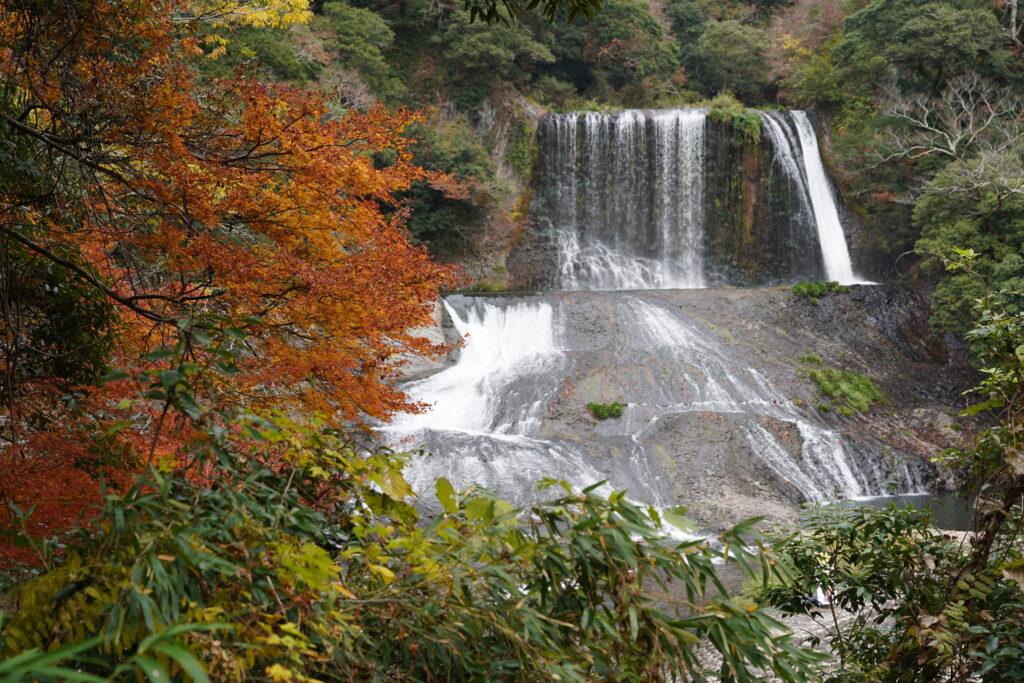 画像に alt 属性が指定されていません。ファイル名: DSC00210-1-1024x683.jpg