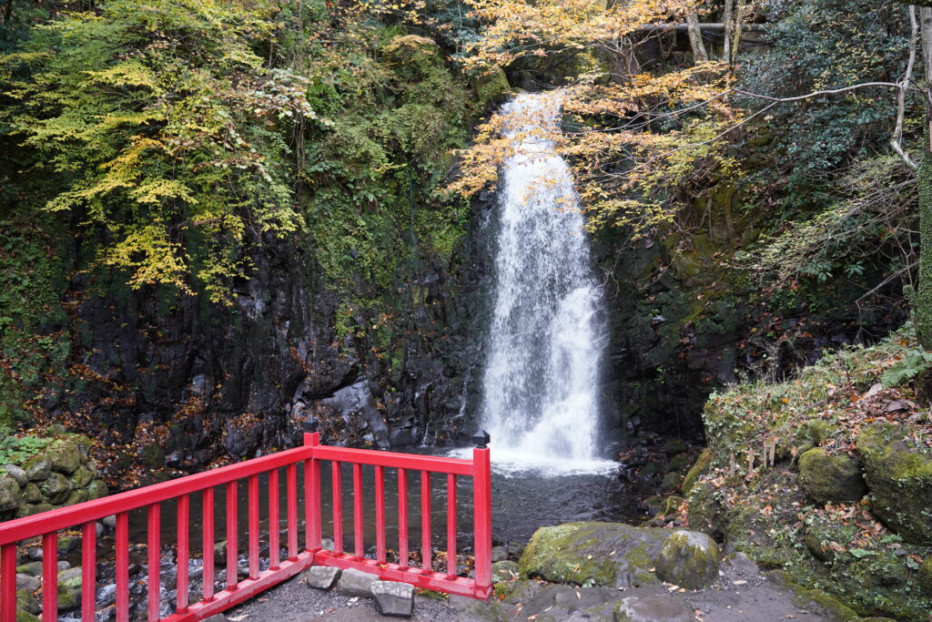 画像に alt 属性が指定されていません。ファイル名: DSC00228-1024x683.jpg