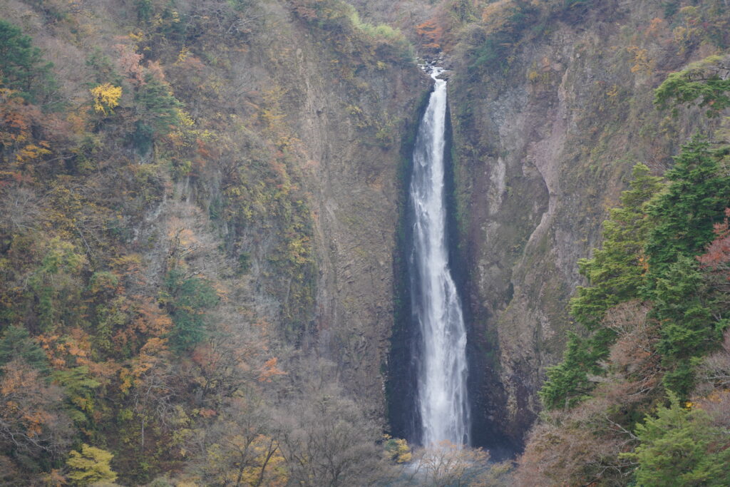 画像に alt 属性が指定されていません。ファイル名: DSC00298-1024x683.jpg