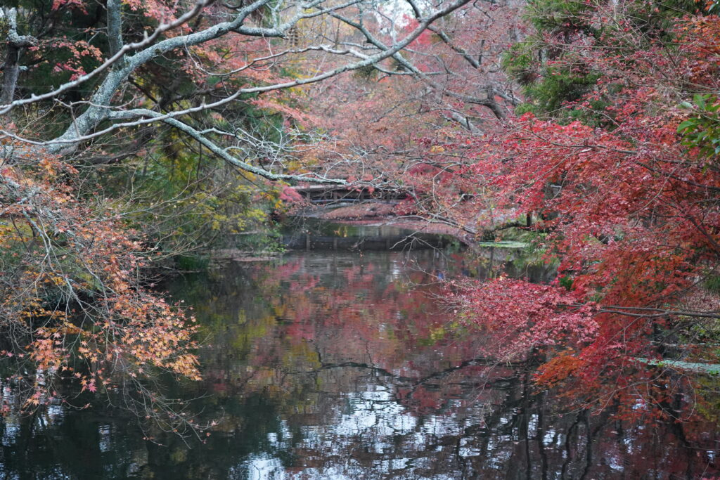 画像に alt 属性が指定されていません。ファイル名: DSC00453-1024x683.jpg