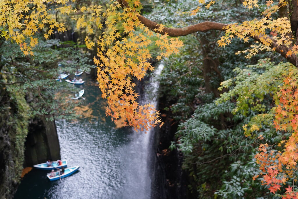 画像に alt 属性が指定されていません。ファイル名: DSC00930-1024x683.jpg