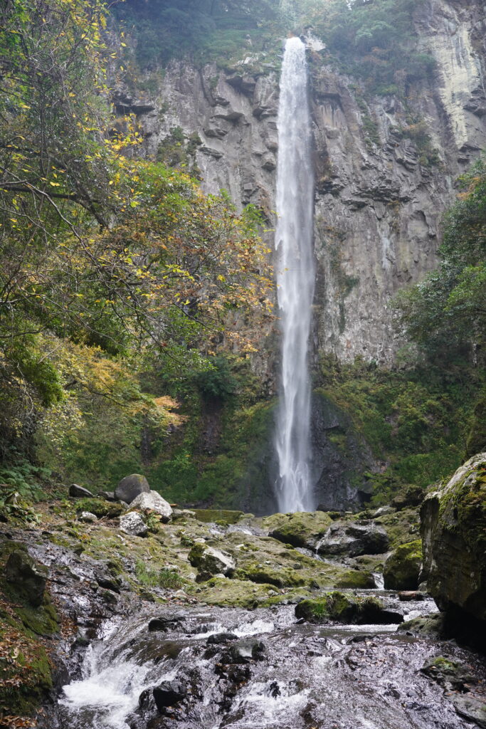 画像に alt 属性が指定されていません。ファイル名: DSC01061-683x1024.jpg