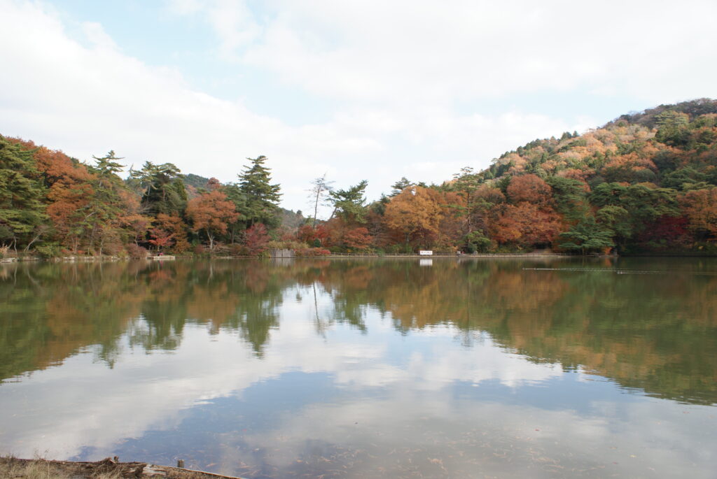 画像に alt 属性が指定されていません。ファイル名: DSC04128-1024x685.jpg