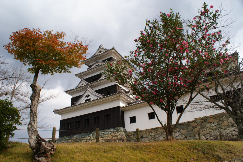 画像に alt 属性が指定されていません。ファイル名: DSC06078-1024x685.jpg