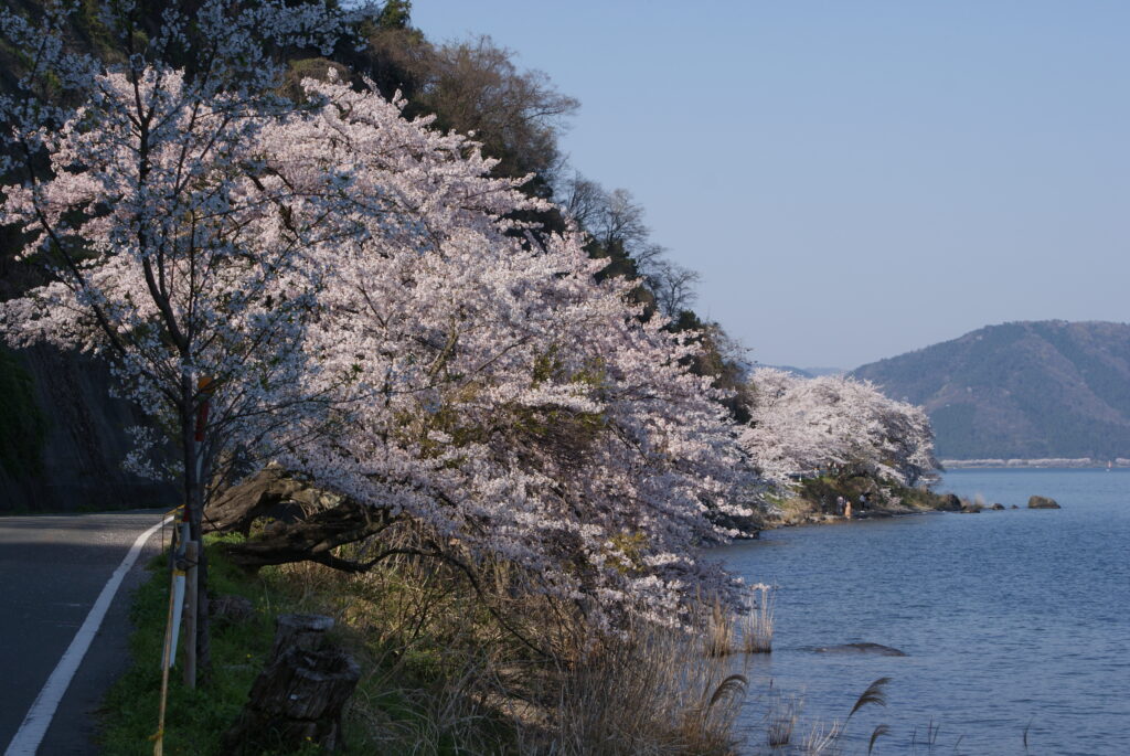 画像に alt 属性が指定されていません。ファイル名: TN03-018-1024x685.jpg