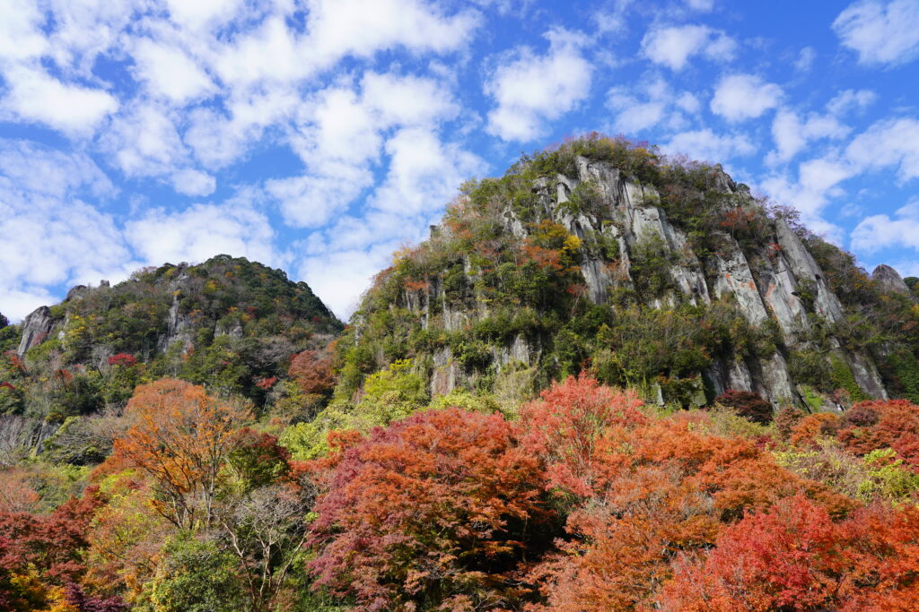 画像に alt 属性が指定されていません。ファイル名: DSC00023-1024x683.jpg