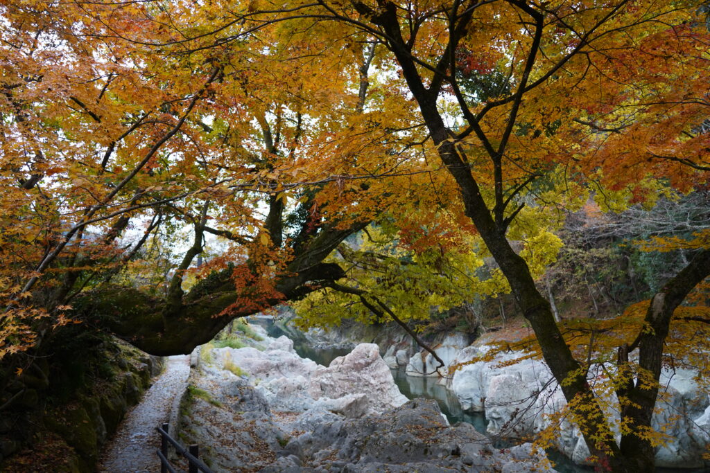 画像に alt 属性が指定されていません。ファイル名: DSC00129-1024x683.jpg