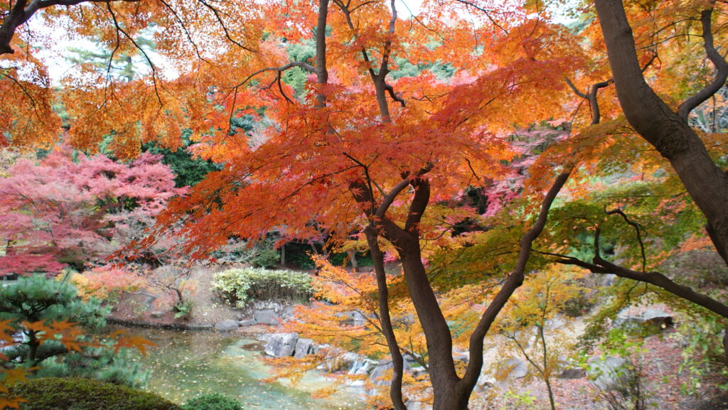 画像に alt 属性が指定されていません。ファイル名: DSC00758-1024x577.jpg