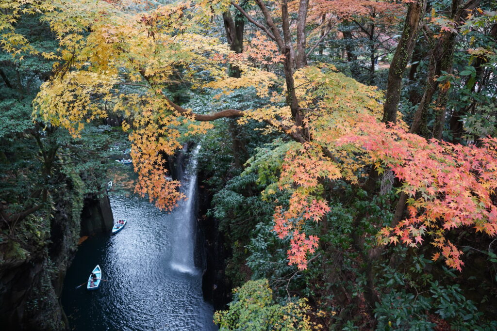 画像に alt 属性が指定されていません。ファイル名: DSC00927-1024x683.jpg