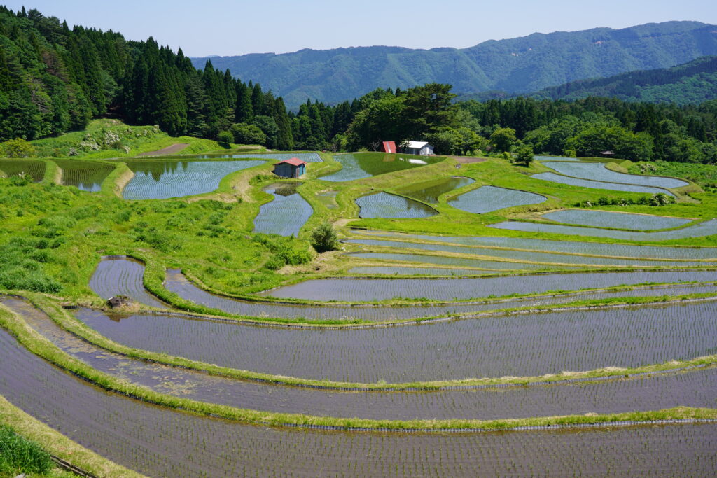 画像に alt 属性が指定されていません。ファイル名: DSC02718-1024x683.jpg