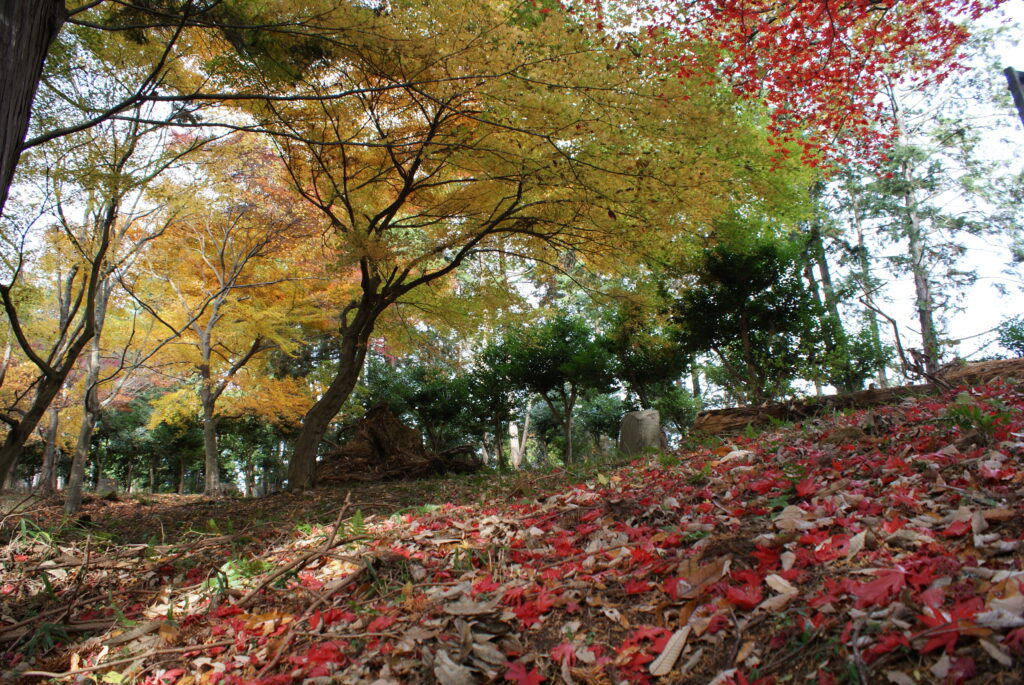 画像に alt 属性が指定されていません。ファイル名: DSC03970-1024x685.jpg