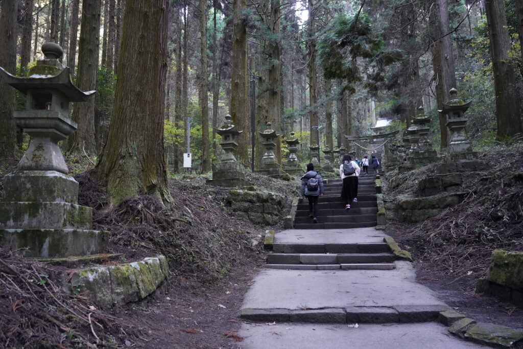 画像に alt 属性が指定されていません。ファイル名: DSC03317-1024x683.jpg