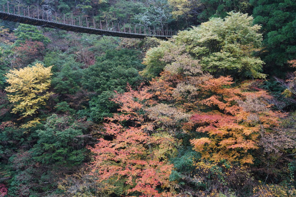 画像に alt 属性が指定されていません。ファイル名: DSC03456-1024x683.jpg