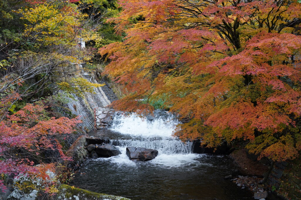 画像に alt 属性が指定されていません。ファイル名: DSC03521-1024x683.jpg