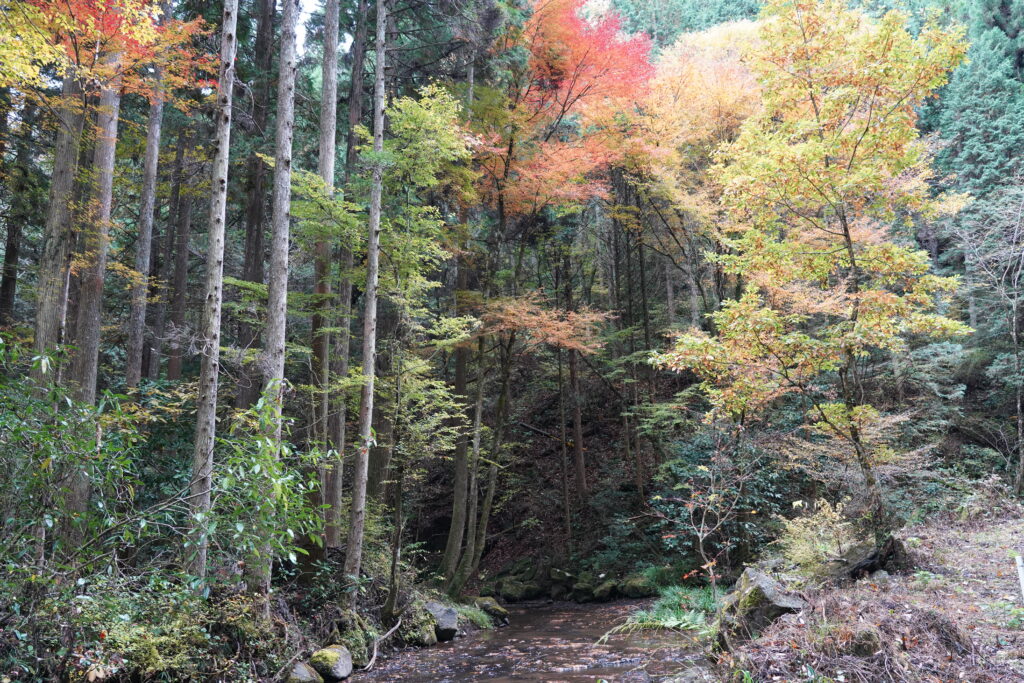 画像に alt 属性が指定されていません。ファイル名: DSC03634-1024x683.jpg