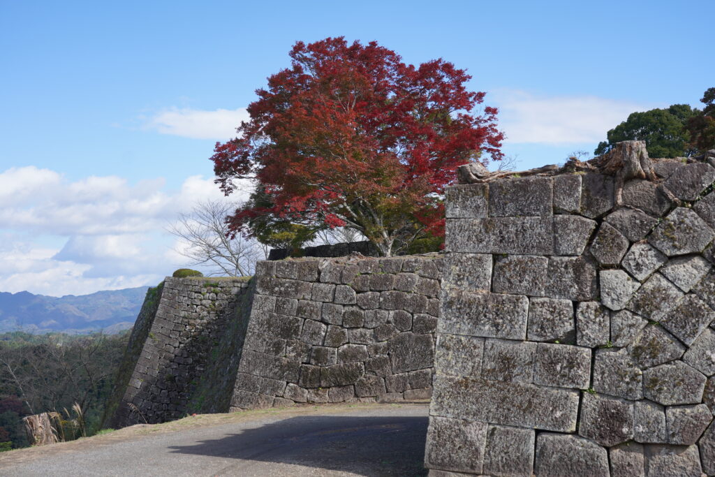 画像に alt 属性が指定されていません。ファイル名: DSC03782-1024x683.jpg