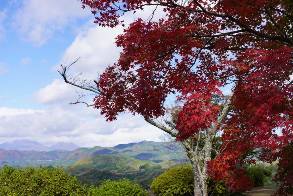 画像に alt 属性が指定されていません。ファイル名: DSC03796-4-1024x683.jpg