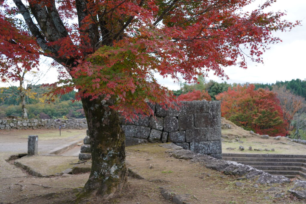 画像に alt 属性が指定されていません。ファイル名: DSC03835-1024x683.jpg