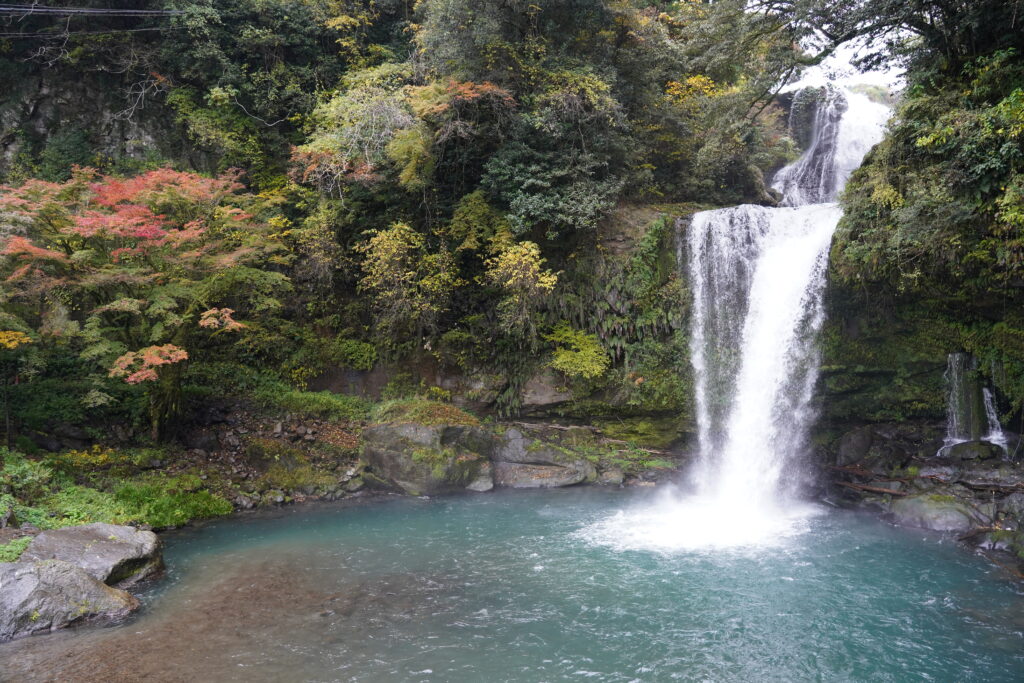 画像に alt 属性が指定されていません。ファイル名: DSC04077-1024x683.jpg