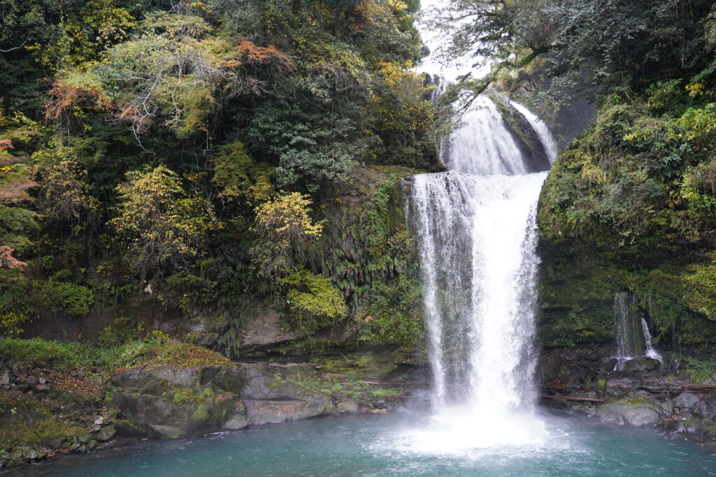 画像に alt 属性が指定されていません。ファイル名: DSC04086-1024x683.jpg