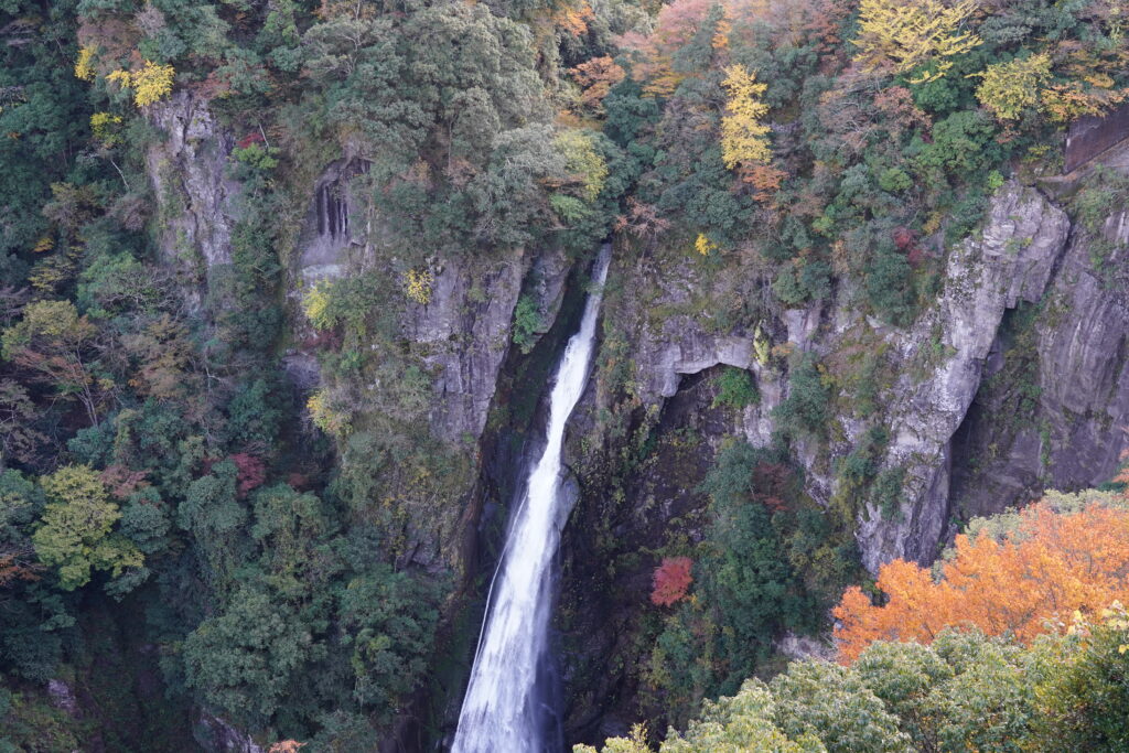 画像に alt 属性が指定されていません。ファイル名: DSC04132-1024x683.jpg