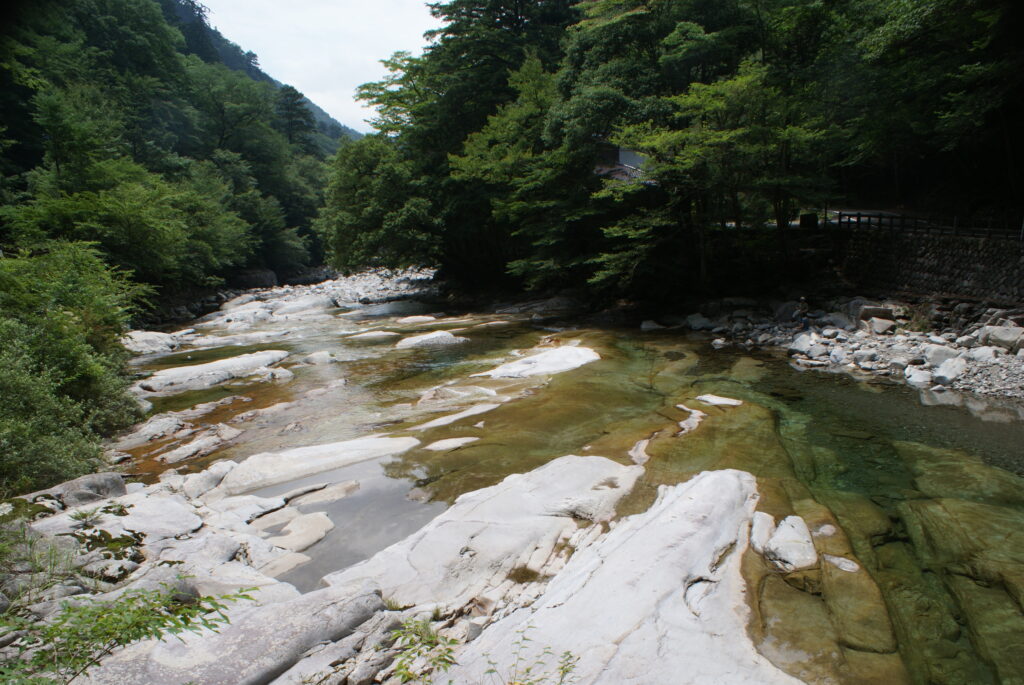 画像に alt 属性が指定されていません。ファイル名: DSC05543-1024x685.jpg