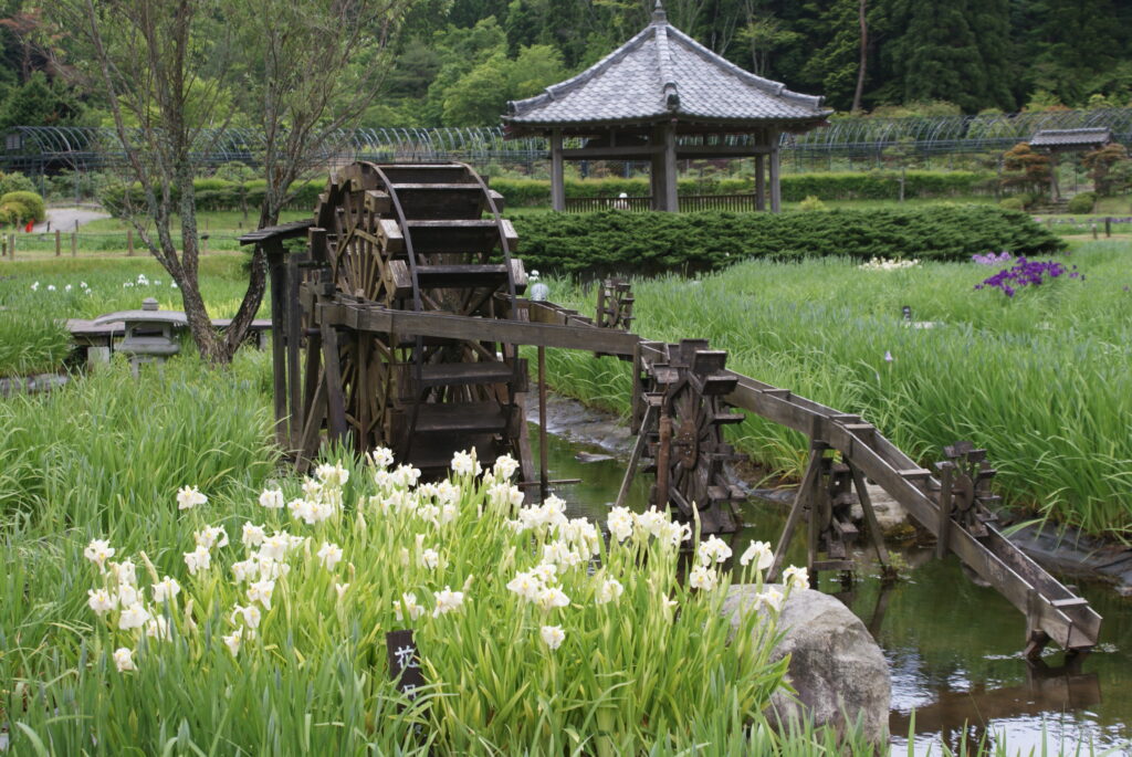 画像に alt 属性が指定されていません。ファイル名: DSC08341-1024x685.jpg